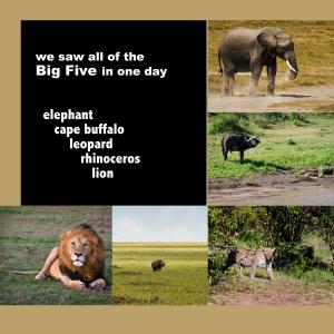 Photography Website and African Safari Slideshow on Vimeo